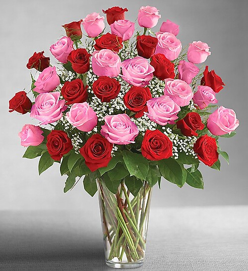 Ultimate Elegance&amp;trade; Long Stem Pink &amp;amp; Red Roses